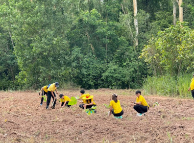 กิจกรรมวันต้นไม้ประจำปีของชาติ และ ... พารามิเตอร์รูปภาพ 6